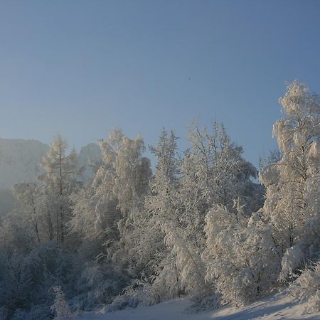 Apartamenty Paradis Zakopane Dış mekan fotoğraf