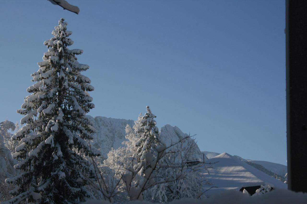 Apartamenty Paradis Zakopane Dış mekan fotoğraf