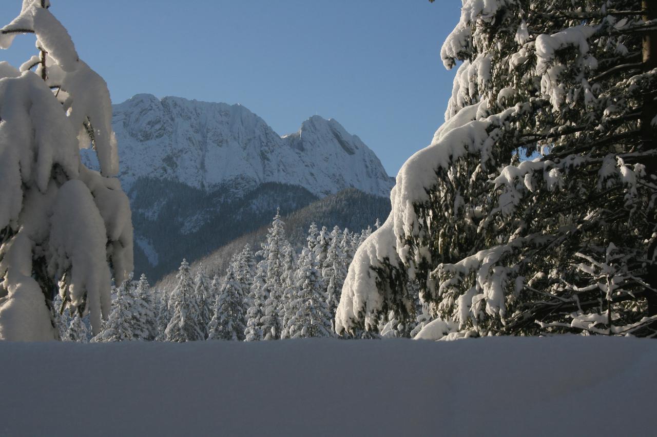 Apartamenty Paradis Zakopane Dış mekan fotoğraf
